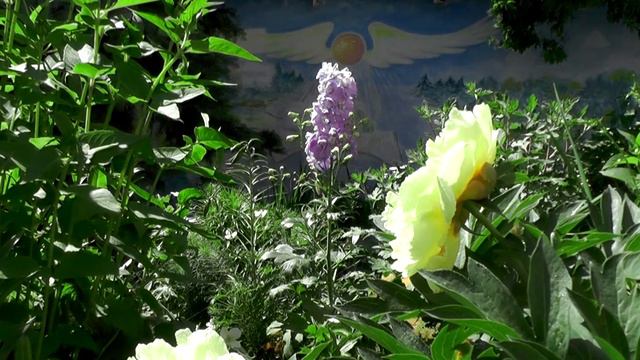 Когда определимся с ЦЕЛью, то, через исЦЕЛение, вдруг ЦЕЛостность приходит! смотреть онлайн