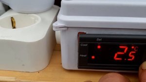 Холодное копчение мяса. Терморегулятор STC-1000