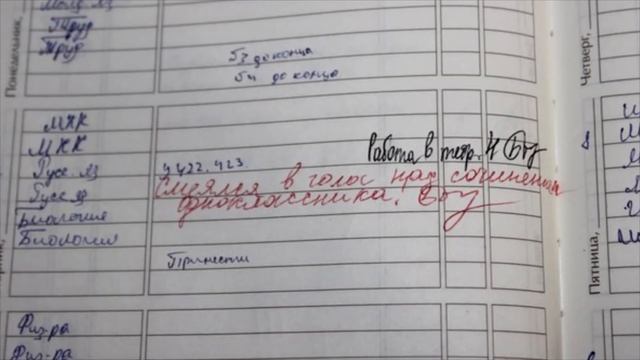 100 УПОРОТЫХ ЗАПИСЕЙ в ШКОЛЬНЫХ ДНЕВНИКАХ смотреть онлайн