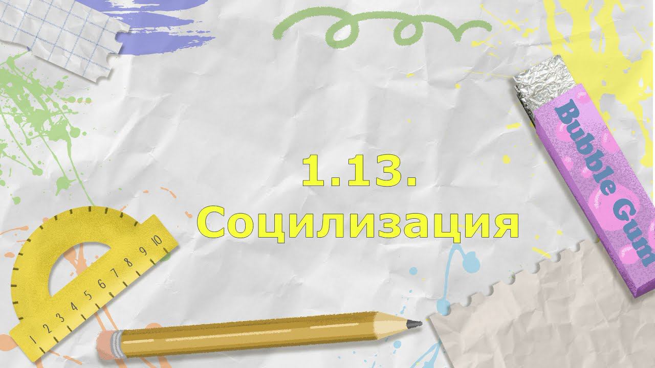 3 13  социализация
