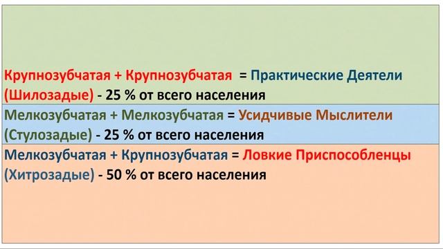 О человеке как системе из двух вращающихся шестеренок