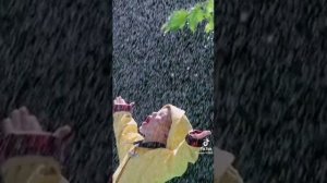 Людвиг Ван Бетховен - мелодия слёз шум дождя