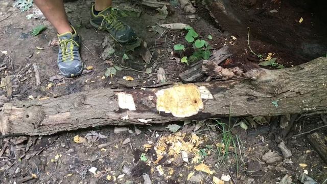 Firebird (Ganzo) Axe 2 FSA02-YE - Review and test смотреть онлайн