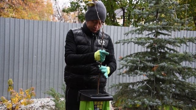 Электрический измельчитель Greenworks GACSB обзор и измельчение веток