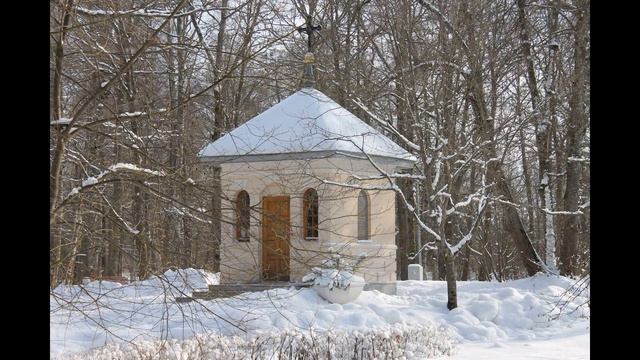 Ритм сердца Муз Антон Тульский Эдем фото видео Ирина Тарасова 17 03 21 смотреть онлайн