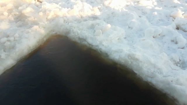 Ловим миногу. День 2#. смотреть онлайн