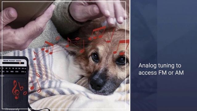 Best Portable Radios In 2023 - Top 5 Portable Radios Review