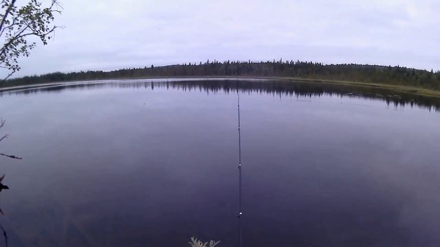 Попутно рыбацкие байки. С рыбалки на охоту. смотреть онлайн
