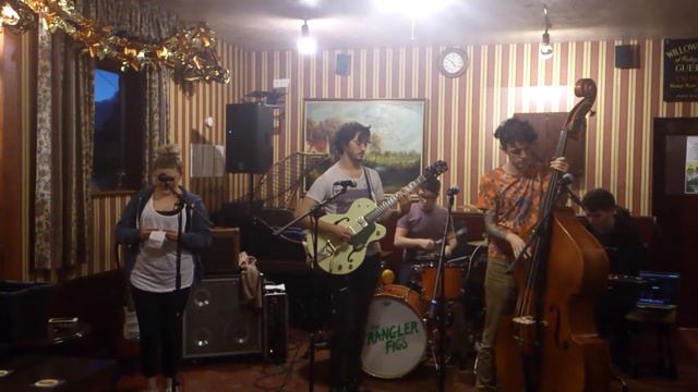 Rhia singing impromptu with The Strangler Figs смотреть онлайн