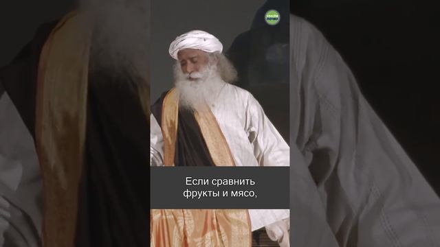 Что лучше — фрукты или мясо? смотреть онлайн