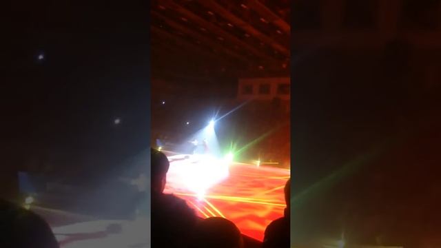 Кармен Навка Костомаров Воронеж 28.01.2017