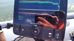 Yamaha 5 4 такта