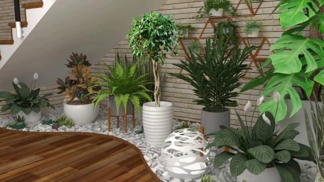 Выносим комнатные растения на свежий воздух. смотреть онлайн