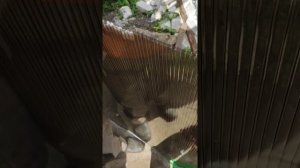 Как сохранить поликарбонат, чтобы он прослужил долго.