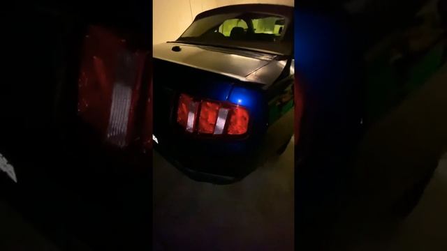 Big Tom’s Detailing After Video Of 2010 Ford Mustang Paint Correction смотреть онлайн