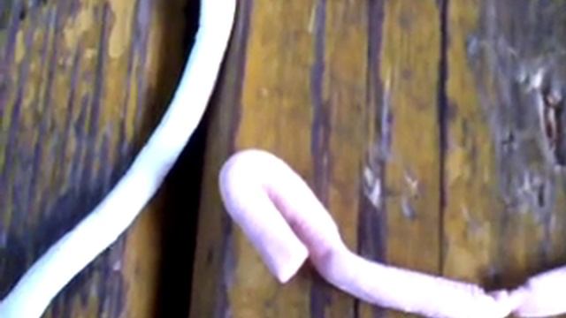 обзор сладкие спагетти