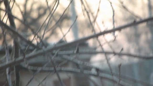 Тест фотокамеры Canon EOS 50D на видео смотреть онлайн