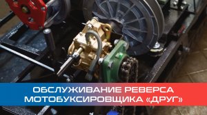 Обслуживание реверса мотобуксировщика / мотособаки