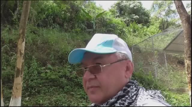 Янг-Бэй 3 смотреть онлайн