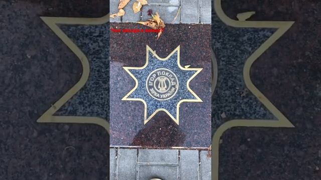 Чья последняя звезда? Аллея славы! Звёзды! смотреть онлайн