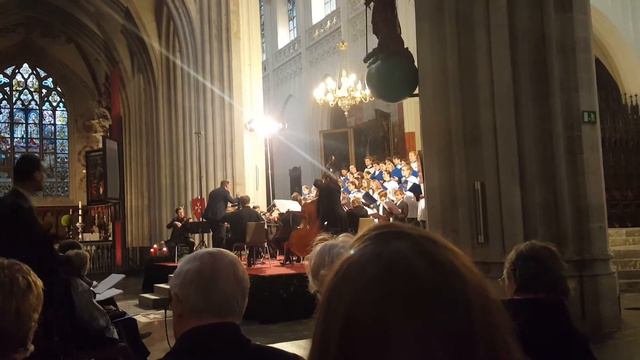 Christmas lullaby by Antwerp Cathedral Choir смотреть онлайн