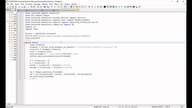 Screenshot Window dan Element Halaman | Tutorial Selenium Python Bahasa Indonesia смотреть онлайн