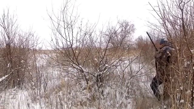 Охота на фазана Ушарал-Алаколь смотреть онлайн