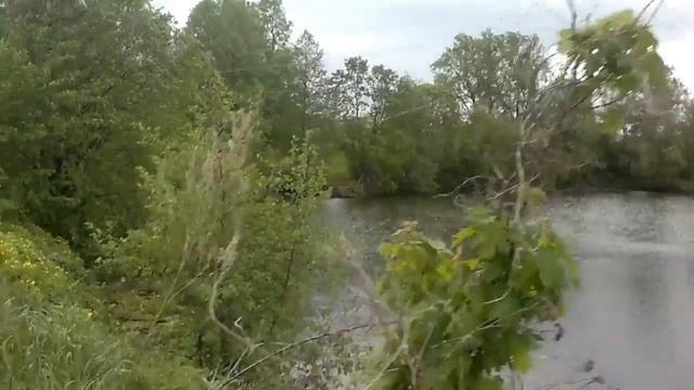 На рыбалку НА КАРПА !!! Появления НОВОГО ГОСТЯ в водоеме "БОБРЫ" смотреть онлайн