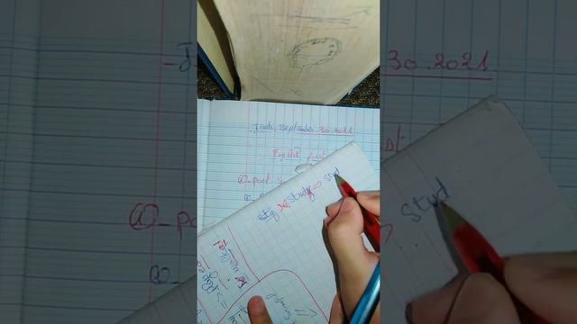 past simple all forms شرح دروس الإنجليزية سنة رابعة متوسط смотреть онлайн