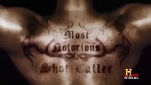 Gangland S07E01 Mile High Killers Part 1 смотреть онлайн