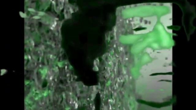 Brother Leader Colonel Muammar Muhammad al-Gaddafi : A moving portrait смотреть онлайн