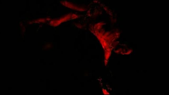 Cracks of Doom - Lord of the Rings Musical London смотреть онлайн