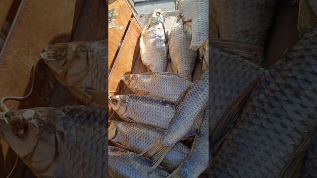 АЗОВСКАЯ КРУПНАЯ ВЯЛЕНАЯ ТАРАНЬ смотреть онлайн