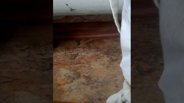 Подарок машина на день рождения смотреть онлайн