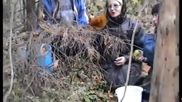 Рядовки. Гриб Матрёшка. Лес Козьи Горы. Гнездово. Смоленск. смотреть онлайн