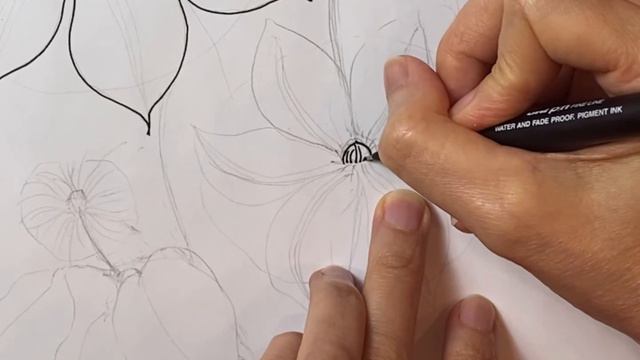 Basic Drawing Clematis For Beginner смотреть онлайн