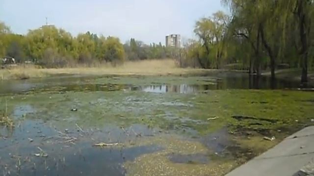 парк Юбилейный смотреть онлайн