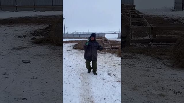 TalanT Вот Такой Пацан Тик Ток Style смотреть онлайн