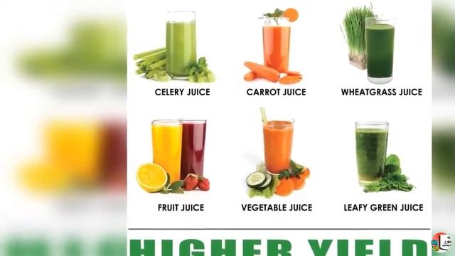 Masticating Celery Juicer | The Climax International смотреть онлайн