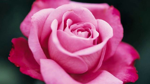 Мировоззрение