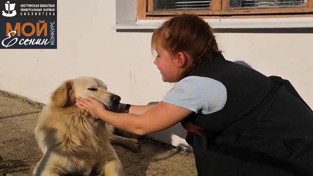 С. Есенин «СОБАКЕ КАЧАЛОВА». Читает – ЖУРАВЛЕВА МАРГАРИТА СЕРГЕЕВНА.mp4 смотреть онлайн