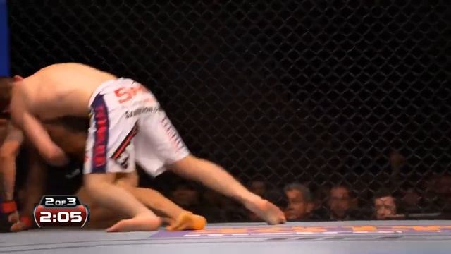 29 октября 2020 г.