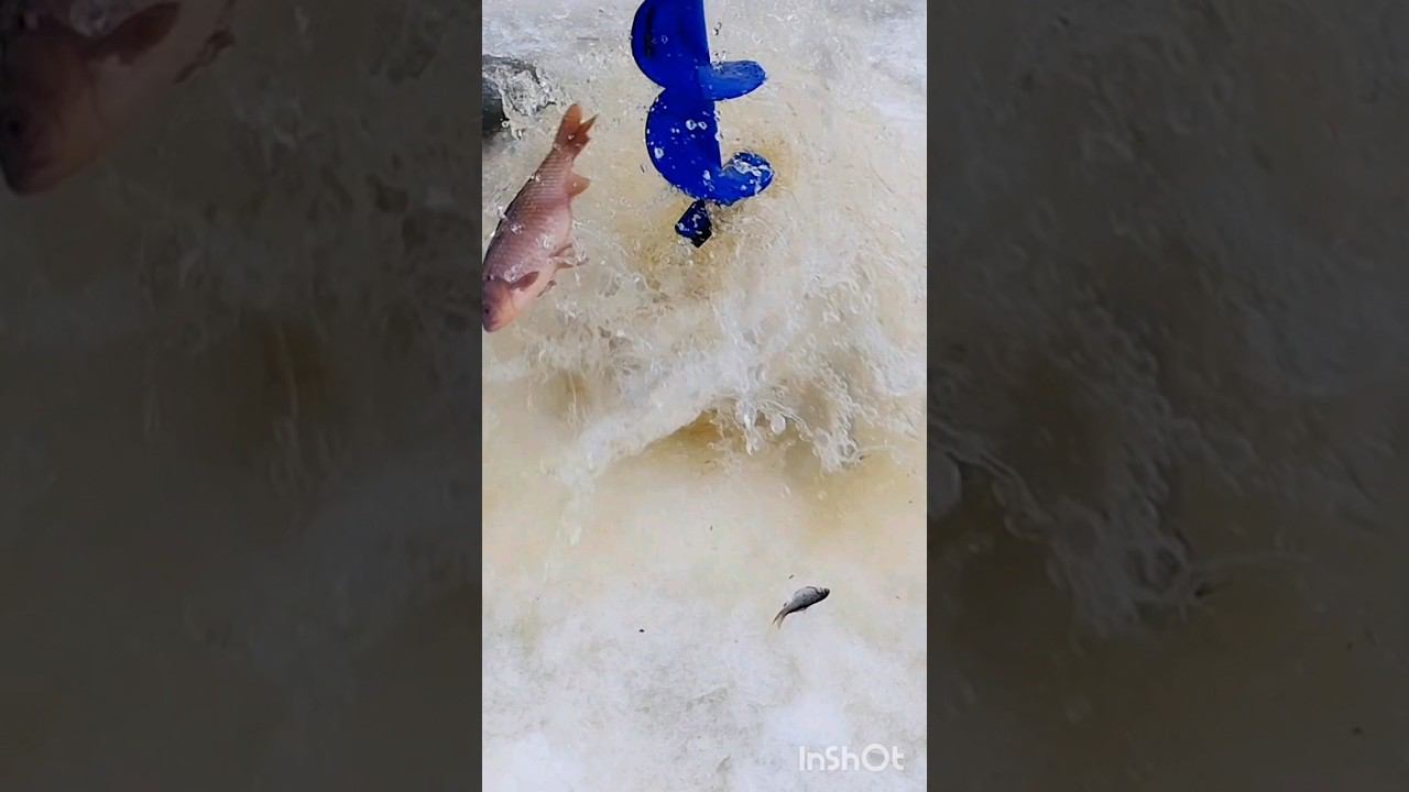 21 февраля 2024 г. смотреть онлайн