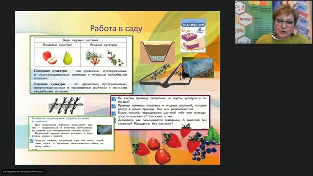 Мастер-класс по флористике к Международному Дню учителя смотреть онлайн