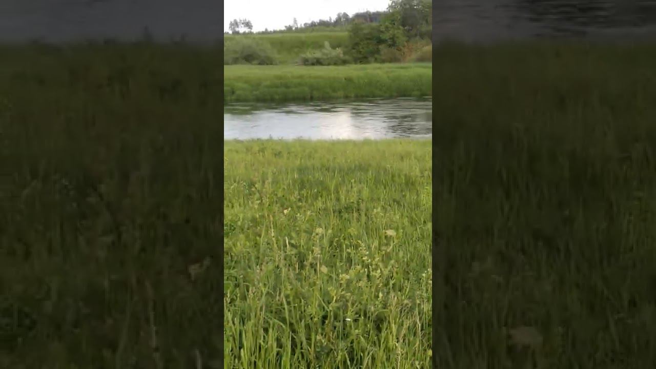 19 июня 2022 г. смотреть онлайн