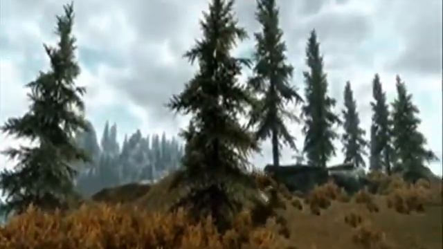 Skyrim - The Flying Sabertooth Goes to the Store смотреть онлайн