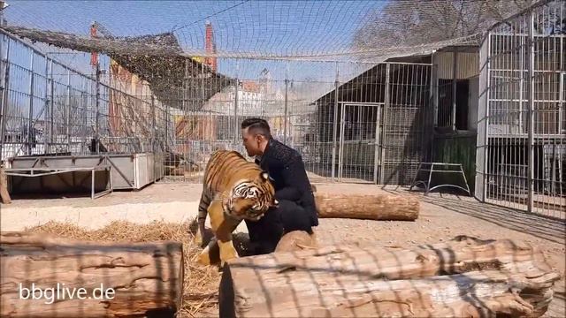 Circus Probst gastiert vom 19. bis 22. April auf dem Töpferwiese in Bernburg. смотреть онлайн