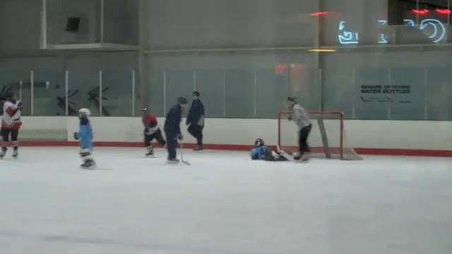 Washington Ice Dogs Special Hockey смотреть онлайн