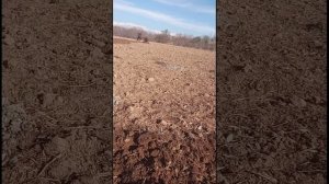 кетайски мотоблок дизельный 15 л.с