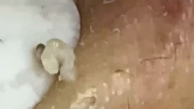 العناية بالبشرة الفاخرة اليومية للوجه مع وكالة ناسا #NASA1001 смотреть онлайн